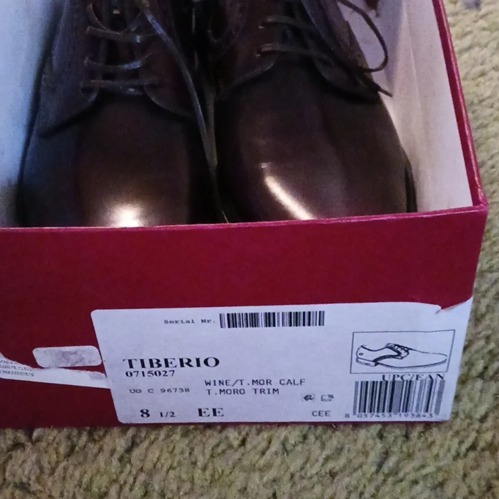 Men’s Burgundy Leather Dress Shoes by Ferragamo